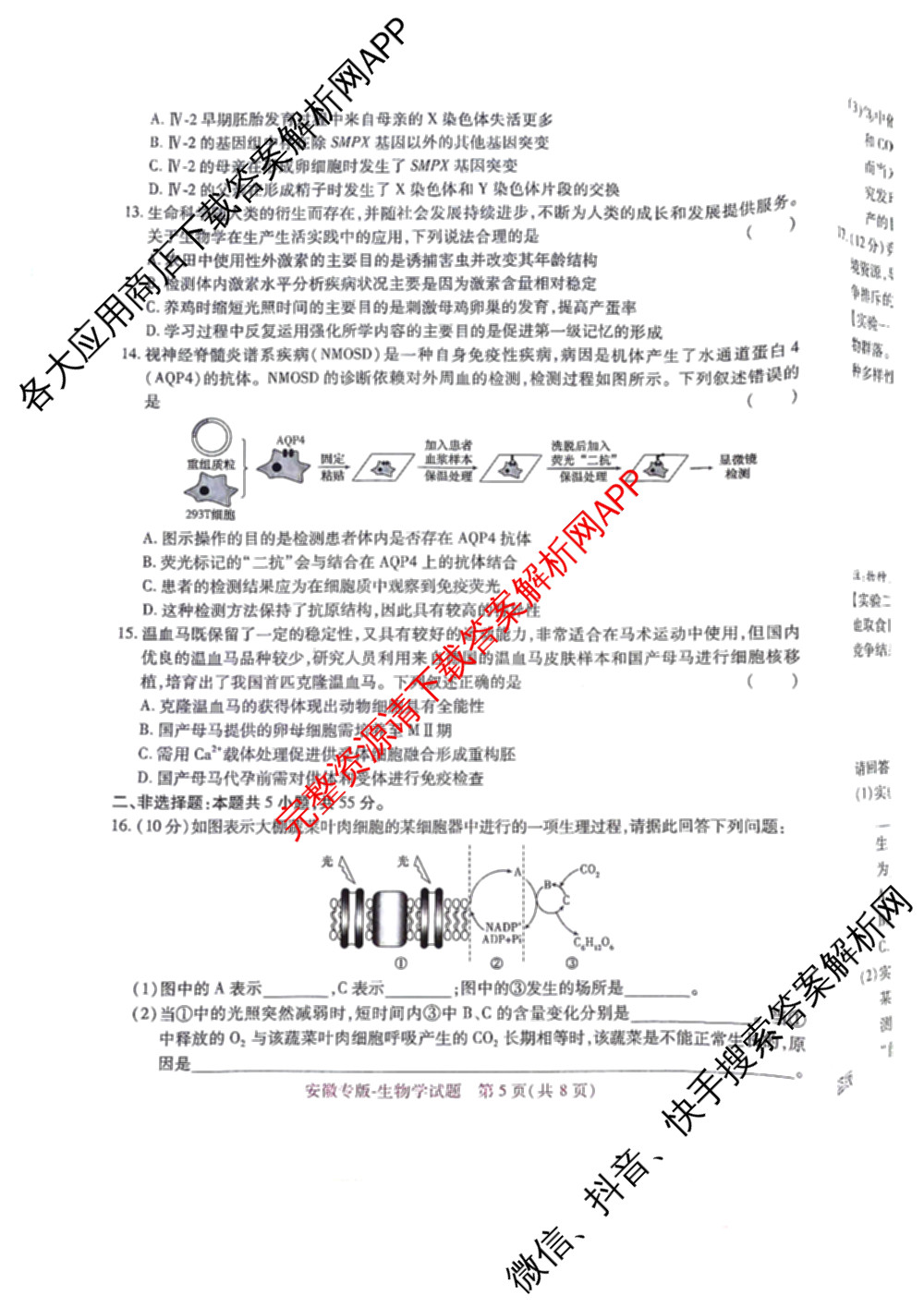 王后雄2024年普通高等学校招生全国统一考试预测卷各科答案及试卷（含语文(安徽专版)、政治(重庆专版)、历史(福建专版)等144份）生物试题