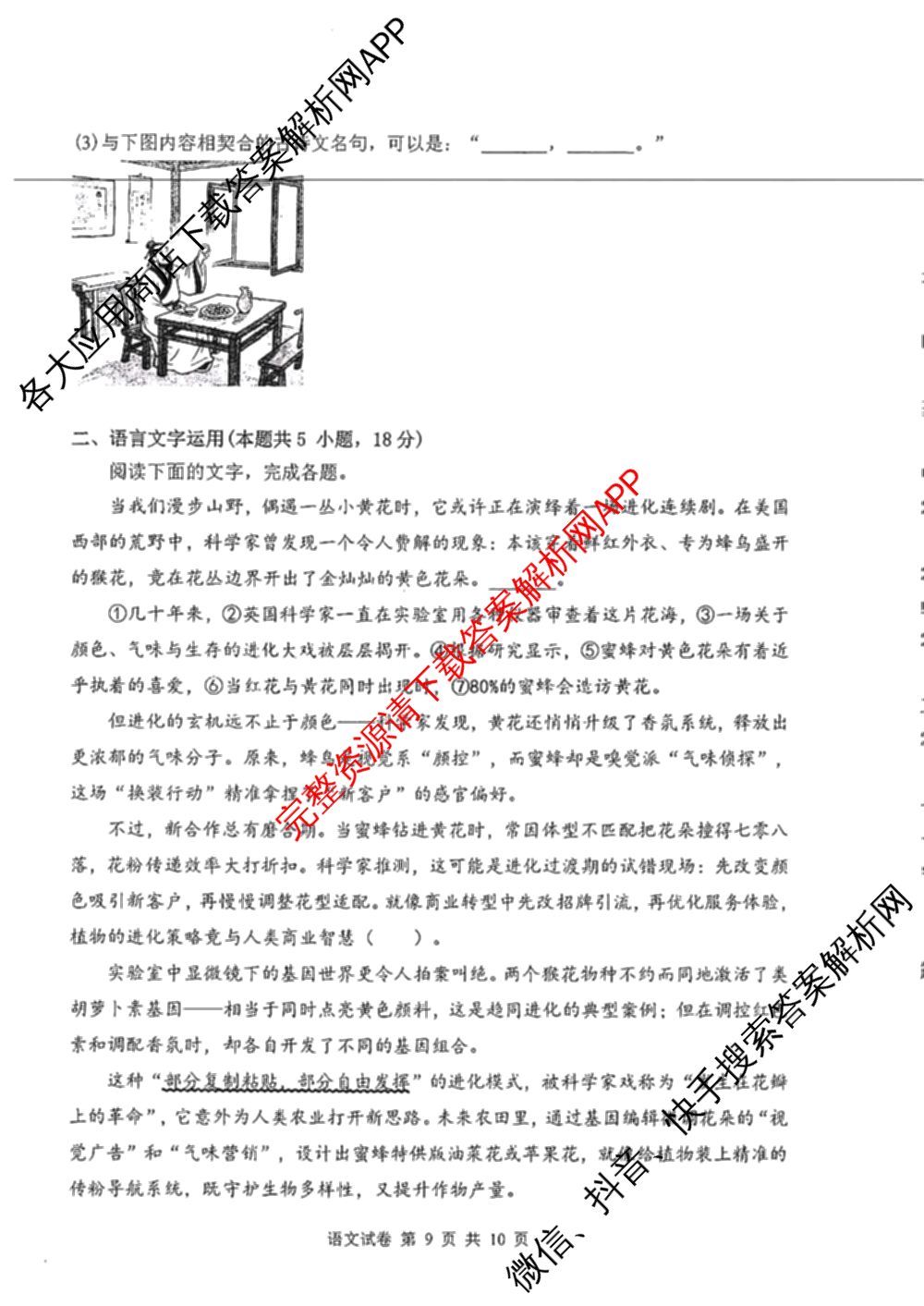 湖北省腾云联盟2026届高三8月联合联考试卷及答案汇总（9科全）语文试题