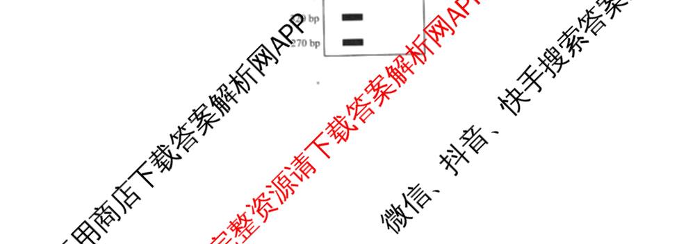 衡水金卷2025-2026学年度高三年级适应性测试(一)各科答案及试卷(已更新历史 物理 生物等9份)生物试题