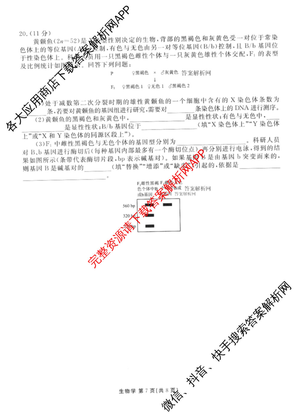 衡水金卷2025-2026学年度高三年级适应性测试(一)各科答案及试卷(已更新物理 生物 语文等9份)生物试题
