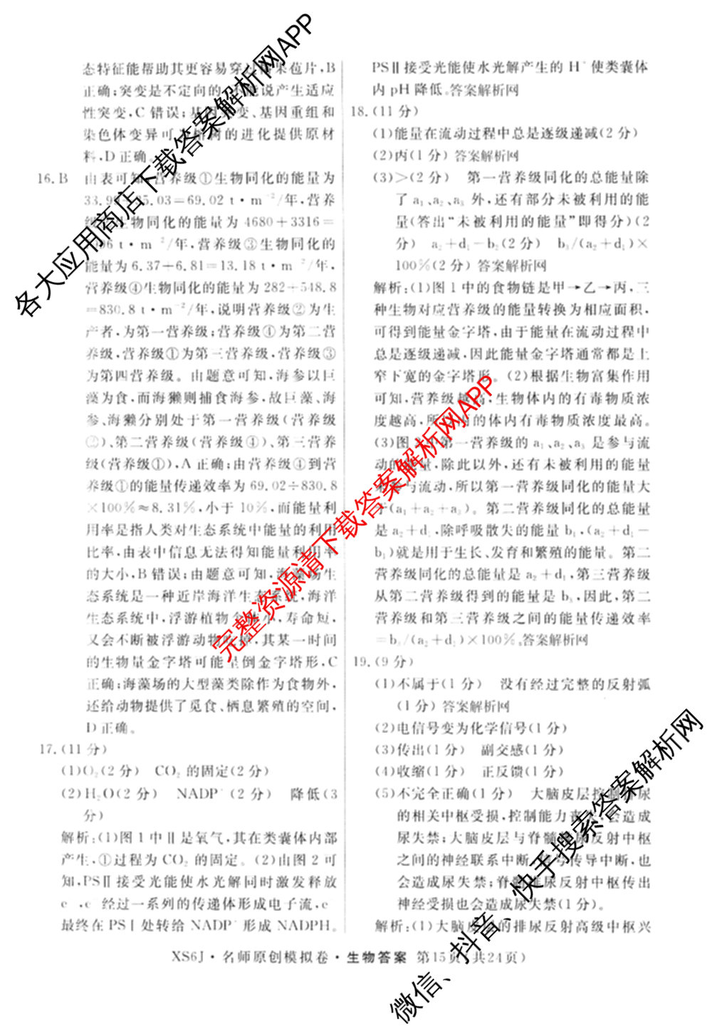 2026届高三总复习名师原创模拟(四)4各科答案及试卷（39科全）生物答案