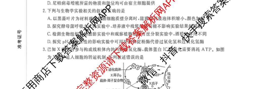 河北省衡水市枣强中学2026届高三下学期期中考试(HB)(无标题)（含地理、化学、数学等）生物试题