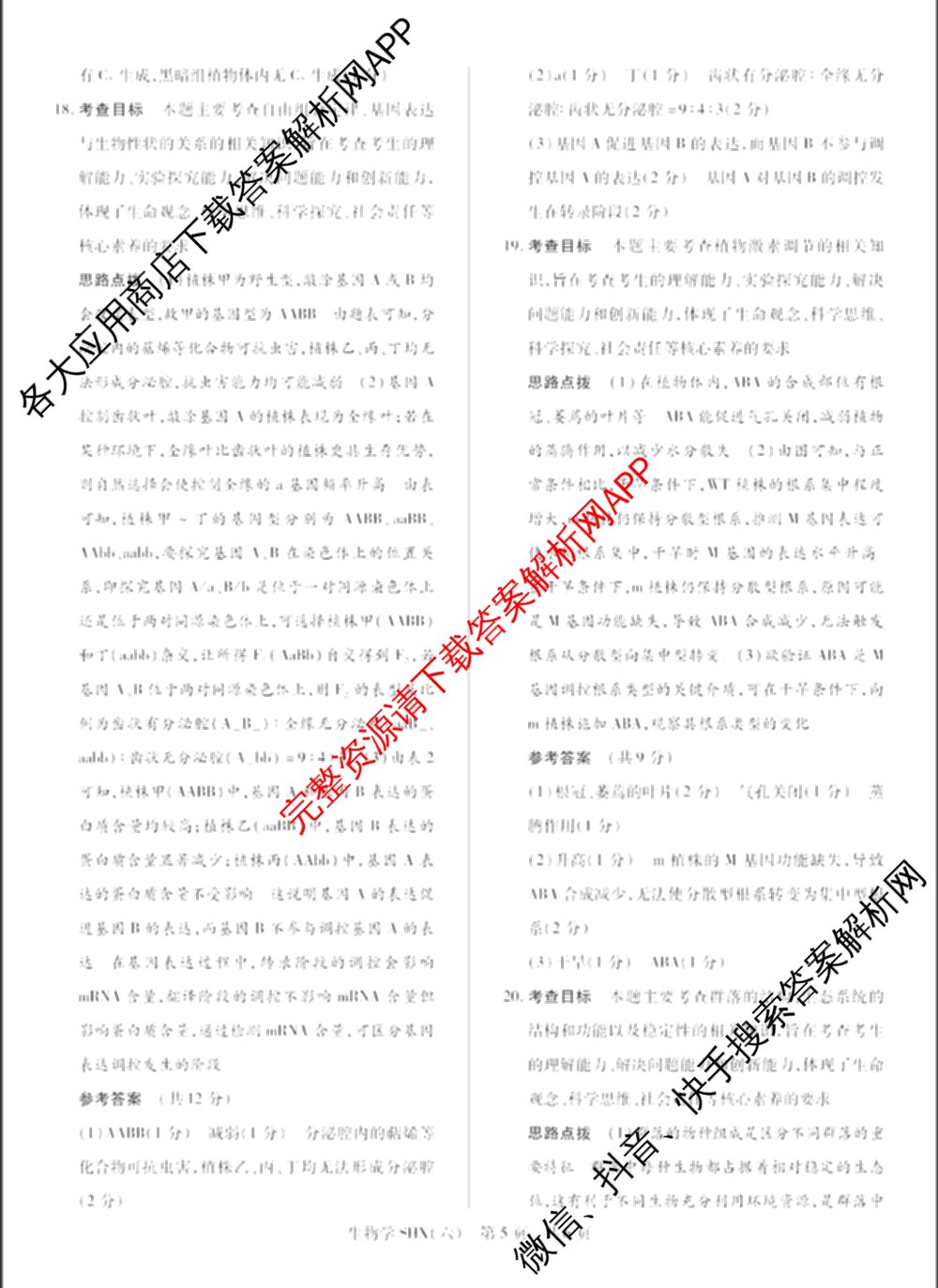 天一大联考2026届高三冲刺(六)6（含政治、数学、化学等27份）生物答案