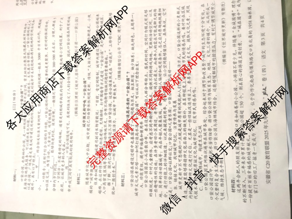 安徽省C20教育联盟2025年九年级中考功夫卷(四)(已更新语文 英语 数学等7份)语文试题