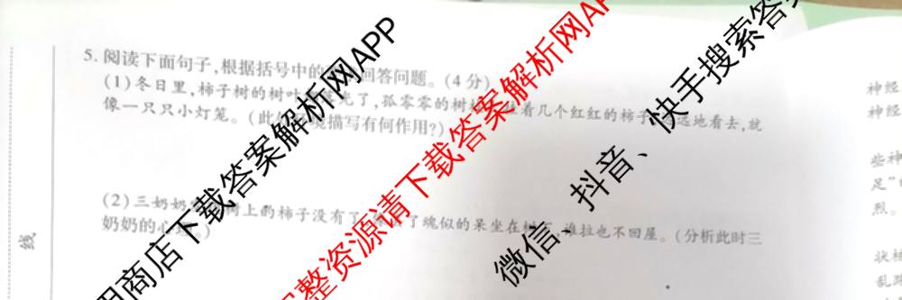 河南省南阳市西峡县2026年九年级阶段性评价(4月)（含化学 物理 语文等7份）语文试题