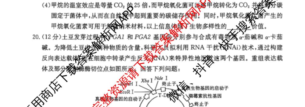 广东省2027届高三考试(9.2)试卷及答案汇总(已更新地理 数学 英语等9份)生物试题
