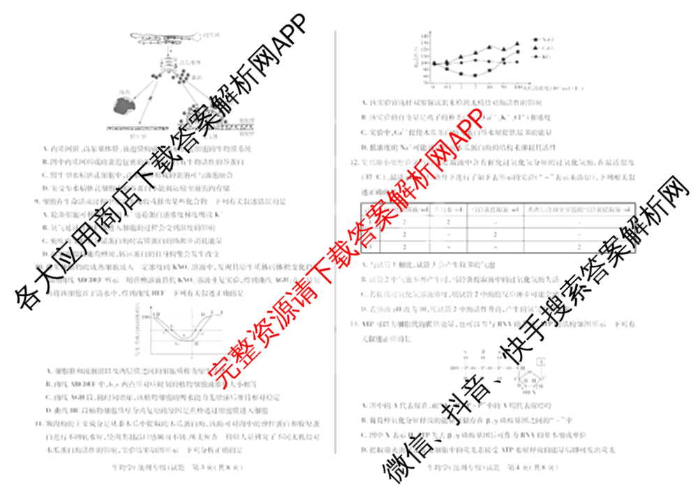 天一大联考2024-2025学年上学期高一年级期末检测试卷及答案汇总（含政治、生物、化学(鲁科版)等）生物试题