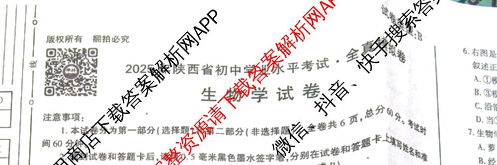 2025年陕西省初中学业水考试全真模拟卷[ET][试卷类型B]: 含物理 生物 化学试卷解析生物试题