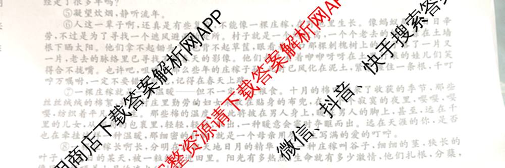2026届高三总复习名师原创模拟(五)5各科答案及试卷（含政治(XS6JG)、化学(新S6J)、物理(CQX6)等39份）语文试题