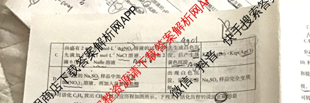 郴州市2025届高三第一次教学质量监测试卷各科答案及试卷（含数学、生物、地理等9份）化学试题