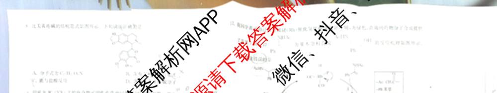 天舟高考衡中同卷2026年普通高等学校招生全国统一考试模拟信息卷(一)1各科答案及试卷（含化学(山东版) 历史(HJ) 生物(DS)等）化学试题