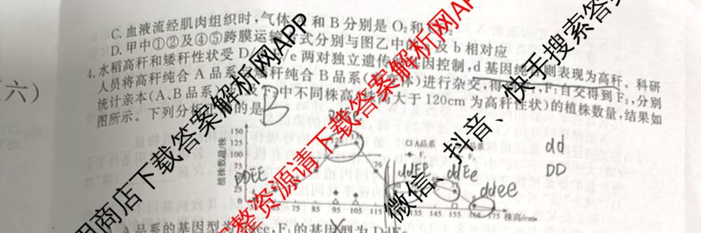 2026普通高等学校招生全国统一考试冲刺押题卷(六)6（16科全）生物试题