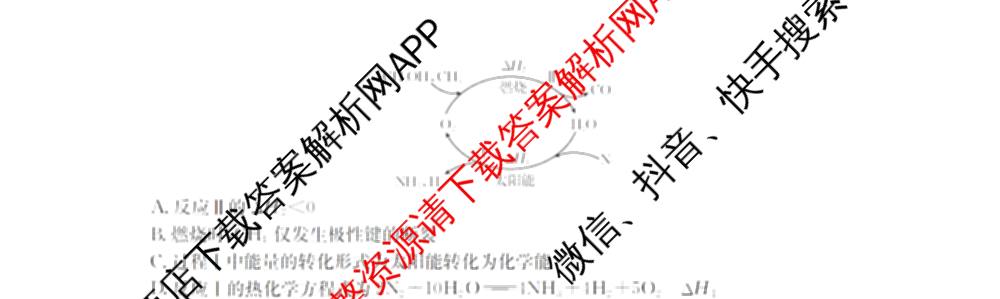 2025-2026河南省高一考场错题训练(二)各科答案及试卷（含化学 物理 生物等9份）化学试题