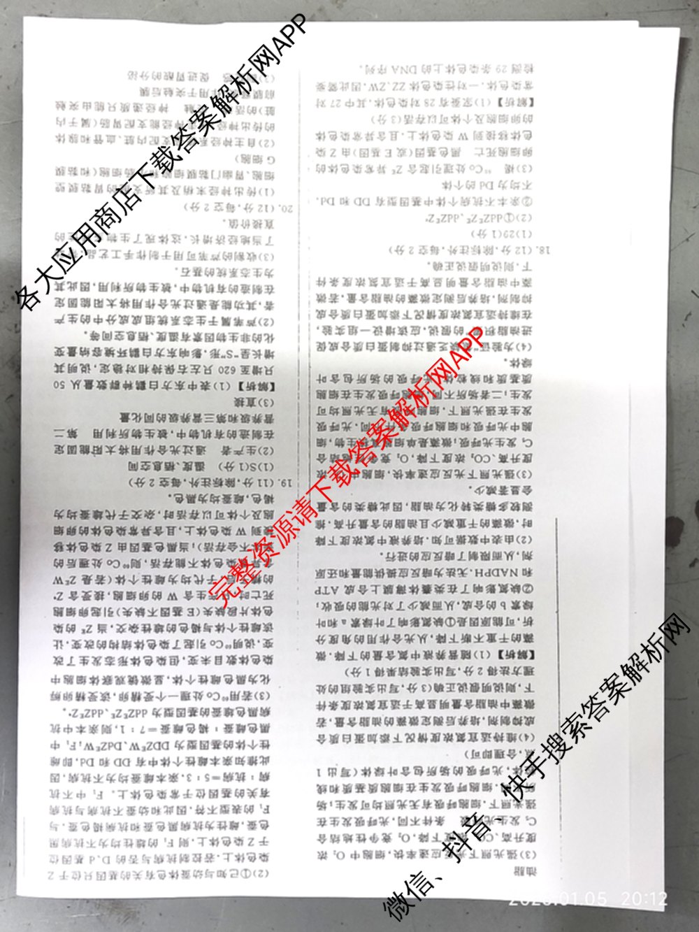 衡水名师卷高考模拟调研卷 2026年普通高等学校招生全国统一考试模拟试题(二)2（含政治 英语(YH) 英语(空心菱形)等）生物答案