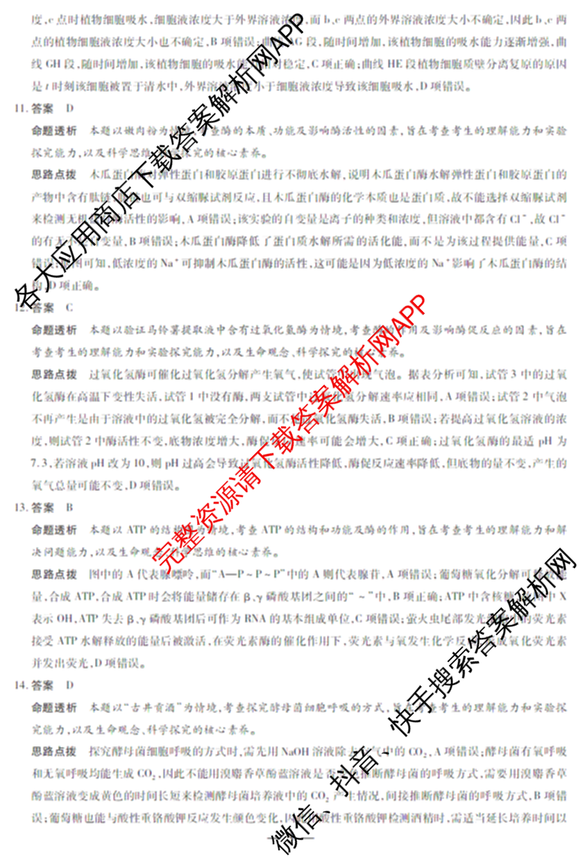 天一大联考2024-2025学年上学期高一年级期末检测试卷及答案汇总（含政治、生物、化学(鲁科版)等）生物答案