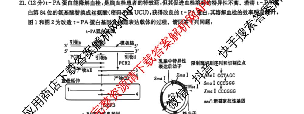 炎德英才大联考长郡中学2025届模拟试卷(一)各科答案及试卷（含生物(A) 英语(A) 语文等）生物试题