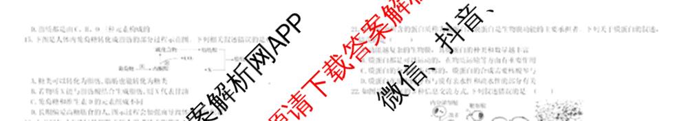 哈师大附中2025级2025-2026学年度第一学期期中考试各科答案及试卷: 含化学 地理 语文试卷解析生物试题