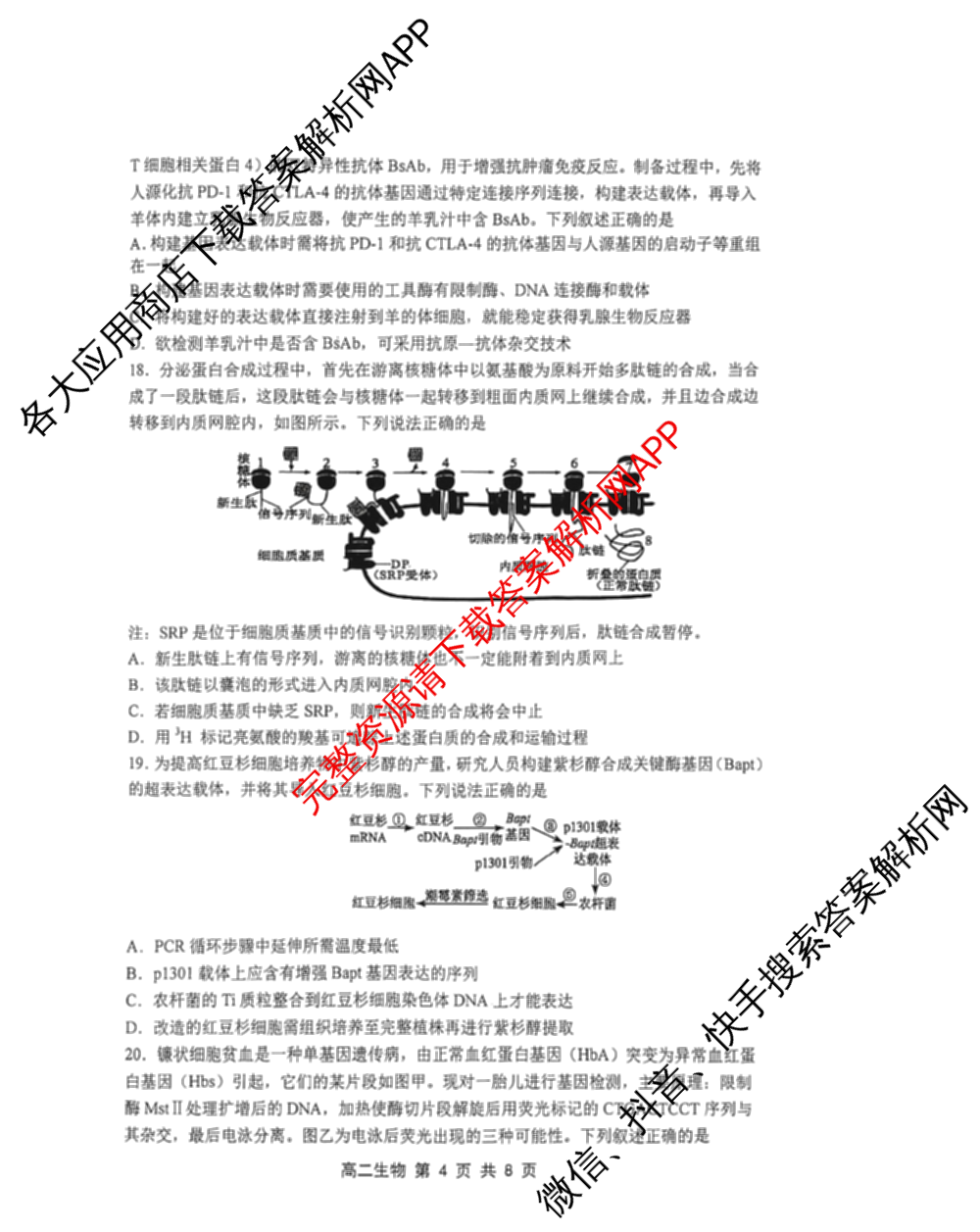 天津市2025~2026学年度第二学期期末重点校联考高二（含语文 政治 物理等）生物试题