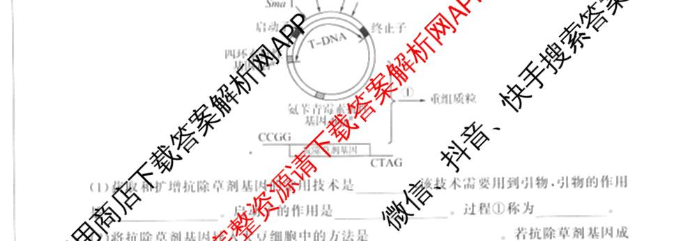 百师联盟2026届高三考前适应性训练(一)试卷及答案汇总（含政治(百L)、数学(百B)、物理(百G)等）生物试题