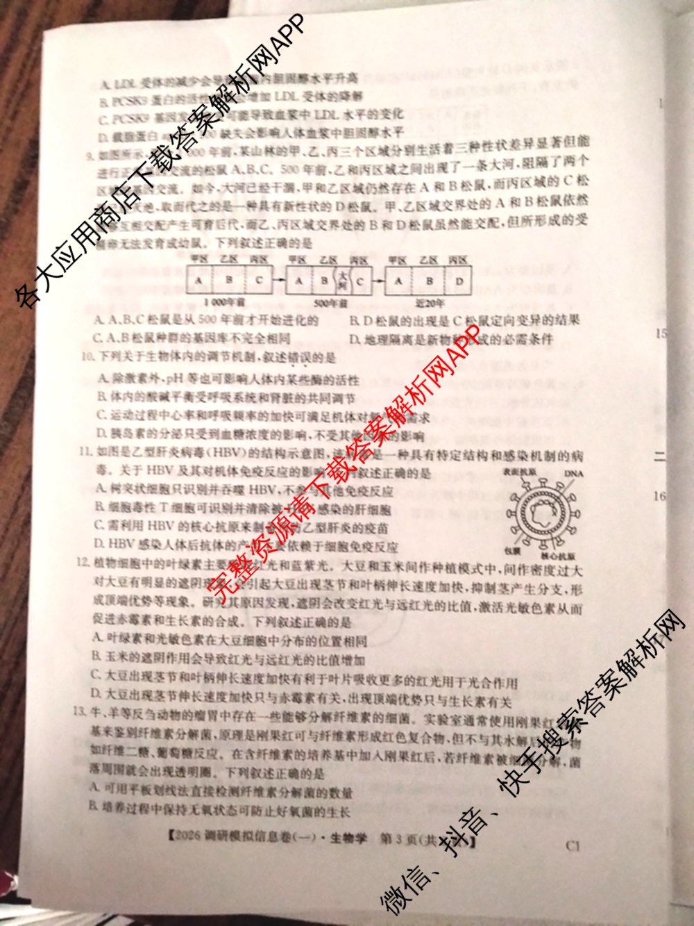 2026届全国高考调研模拟信息卷(一)1各科答案及试卷（含生物(C4) 生物(C2) 物理(C1)等）生物试题