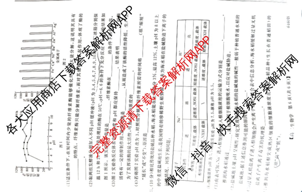 陕西省绥德一中2027届高二第二学期期末质量检测(6460B)试卷及答案汇总: 含地理 英语 数学试卷解析生物试题