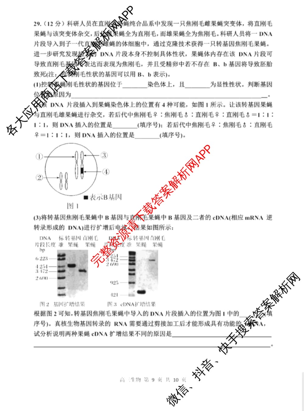 哈三中2024-2025学年度上学期高三学年十月月考各科答案及试卷(已更新数学、生物、历史等9份)生物试题