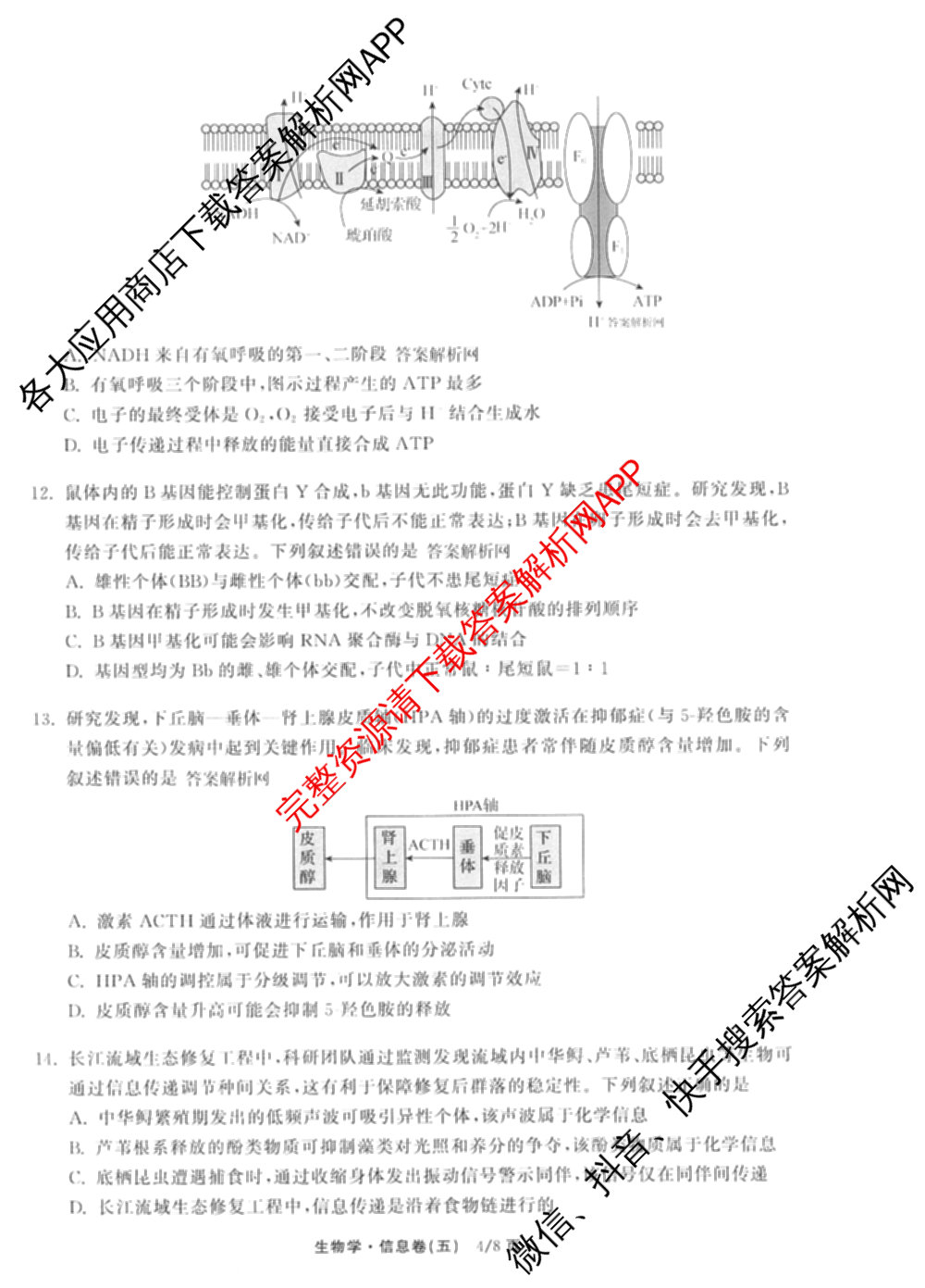 天舟高考衡中同卷2026年普通高等学校招生全国统一考试模拟信息卷(五)5试卷及答案汇总（含历史(WY)、地理(WY)、物理(无字母)等）生物试题