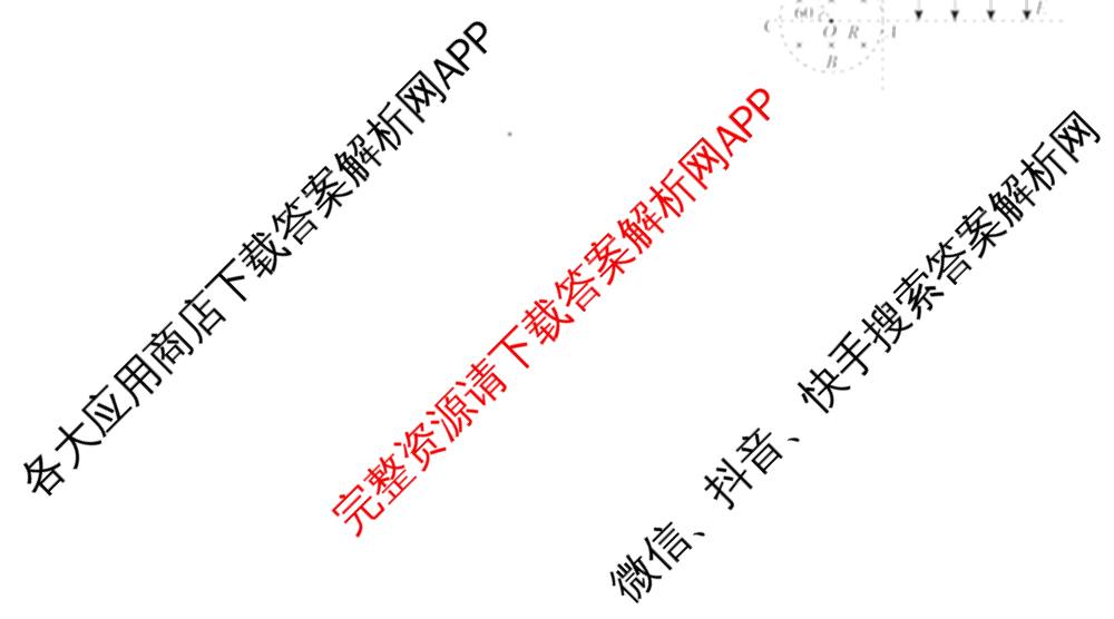河南省2024~2025年高二下学期期末联考考试(HN)（含政治、英语、物理等）物理试题