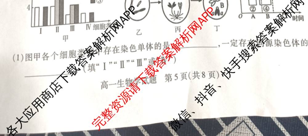 山西省运城市2024-2025学年第二学期期末调研测试(2025.7)高一: 含化学 历史 地理试卷解析生物试题