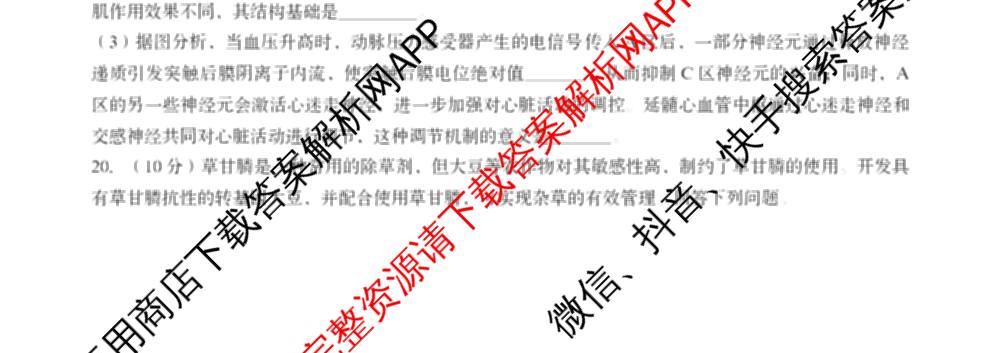 山东省卓越计划2027届新高三选拔考试(2026.07)（含数学 地理 英语等）生物试题