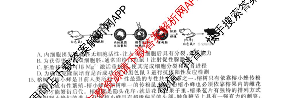 2026届高三总复习名师原创模拟(四)4各科答案及试卷（39科全）生物试题