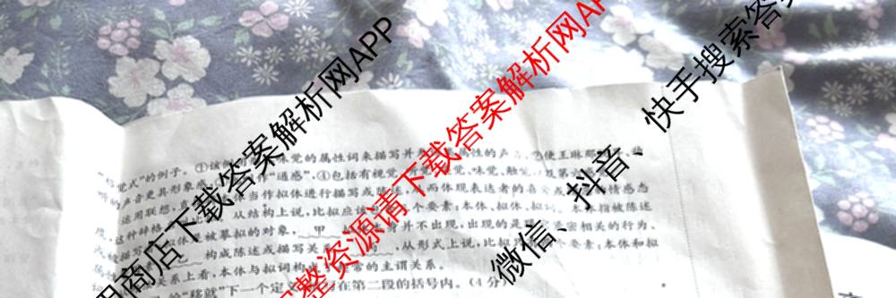 陕西省2027届高三考试(27-19C)试卷及答案汇总（含物理、历史(B2)、政治等10份）语文试题
