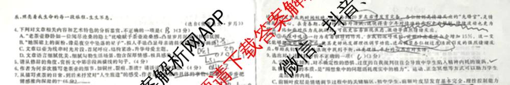 安徽省2025-2026学年九年级上学期教学质量调研(一)A卷(无标题)试卷及答案汇总: 含化学、数学(沪科版)、物理(沪科版)试卷解析语文试题