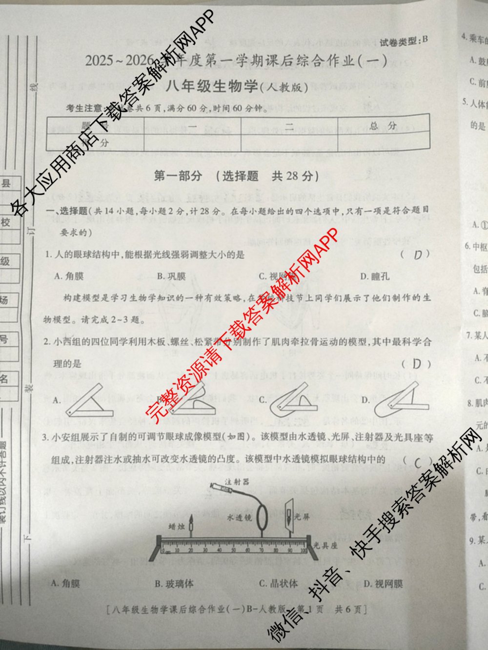 [益卷]2025~2026学年度第一学期课后综合作业(一)[试卷类型B]八年级各科答案及试卷（含物理(北师大版) 历史(统编版) 英语(人教版)等）生物试题