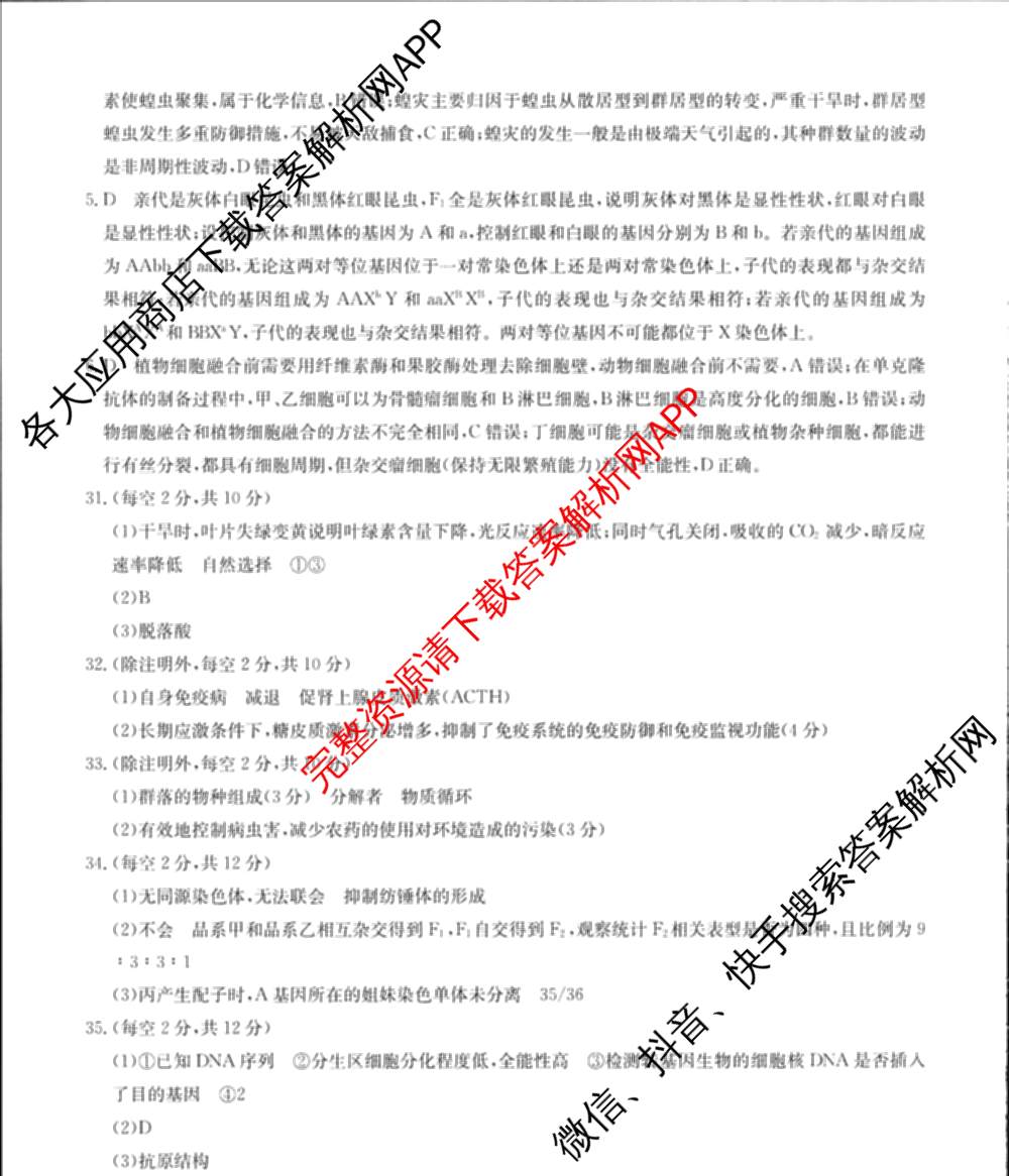 2024年全国高考模拟调研卷(三): 含物理(B Y) 文综(L) 文综(X Y)试卷解析理综答案