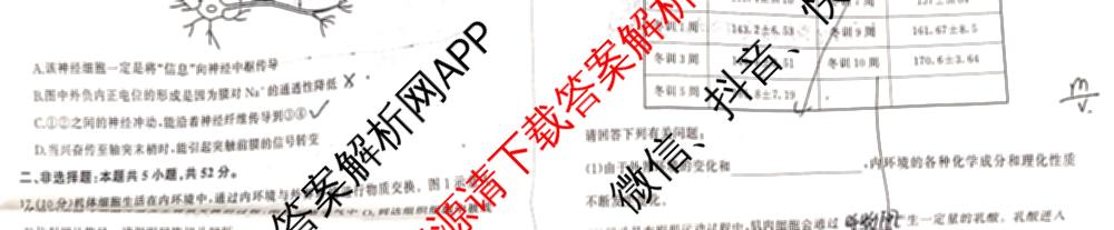 百师联盟2025-2026学年高二上学期阶段测试卷(一)1各科答案及试卷: 含地理(75分钟)、地理(中图版75分钟)、物理(90分钟多选)试卷解析生物试题