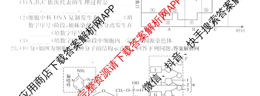 2025~2026全国名校高一下学期第三次月考试卷各科答案及试卷（含生物学(必修2-RJ-G-唐)、化学(必修第二册-RJ-G-唐)、英语(必修第三册-WY-G-唐)等）生物试题