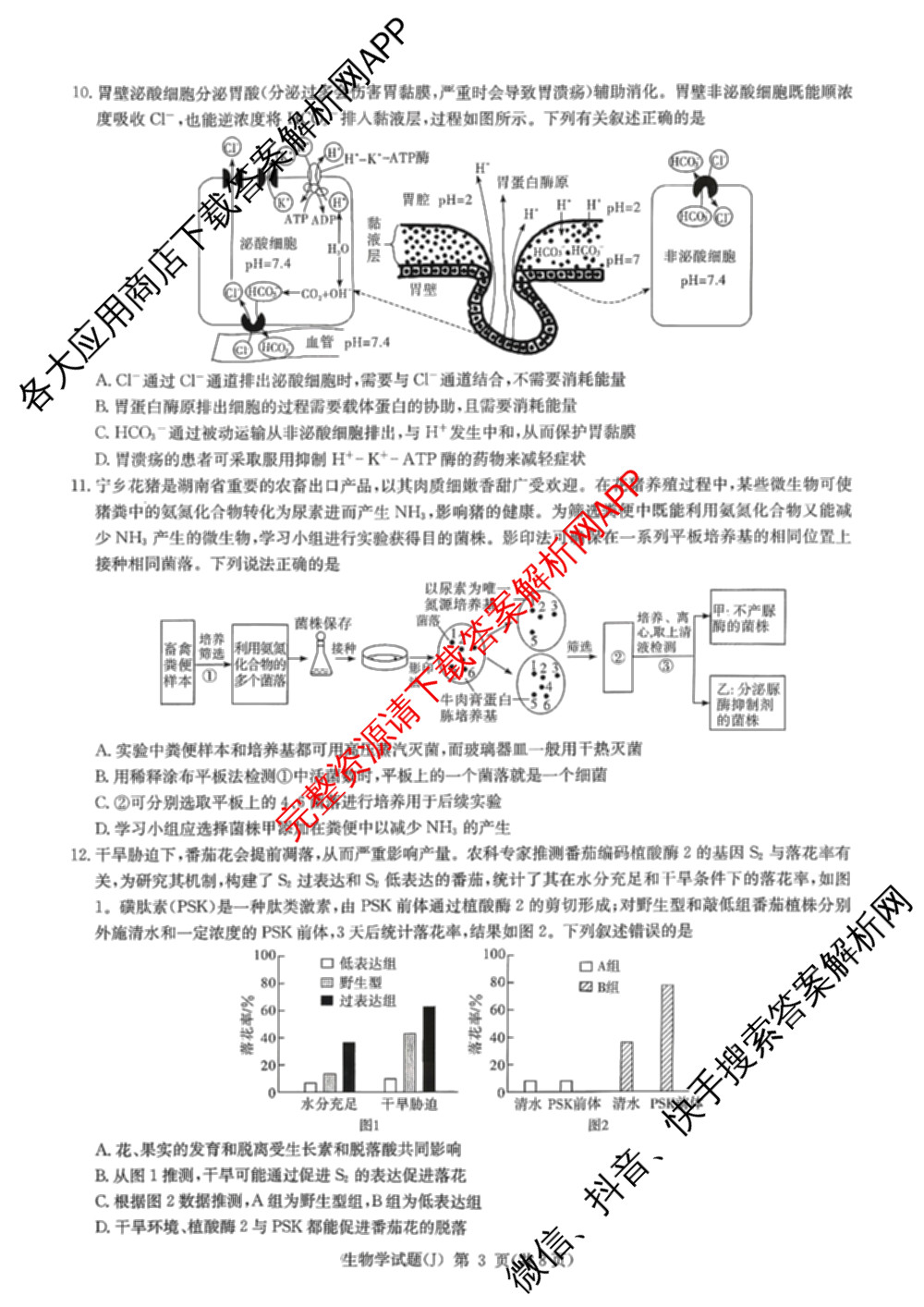 湖南省怀化市2026届高三一模(J)(已更新英语 历史 物理等10份)生物试题