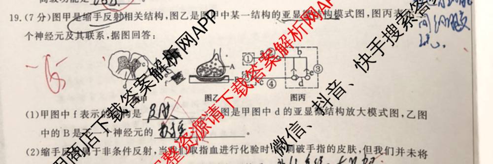 陕西省2025年~2026年度高二第一次考试(9月)试卷及答案汇总（含地理、化学、数学等）生物试题