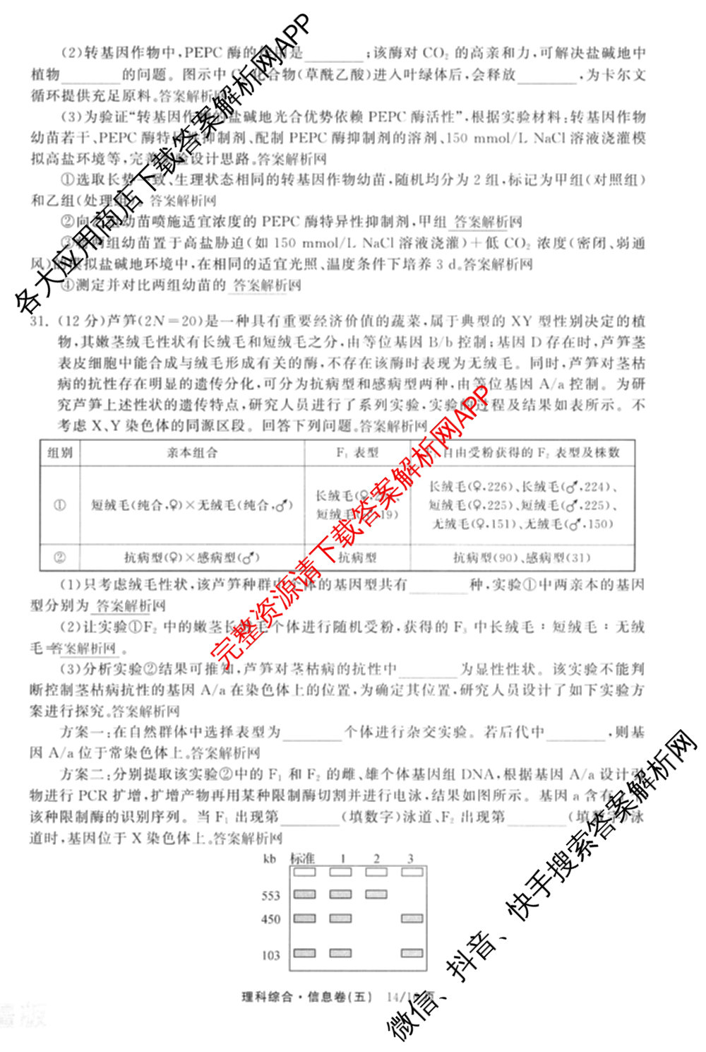 天舟高考衡中同卷2026年普通高等学校招生全国统一考试模拟信息卷(五)5试卷及答案汇总（含历史(WY)、地理(WY)、物理(无字母)等）理综试题