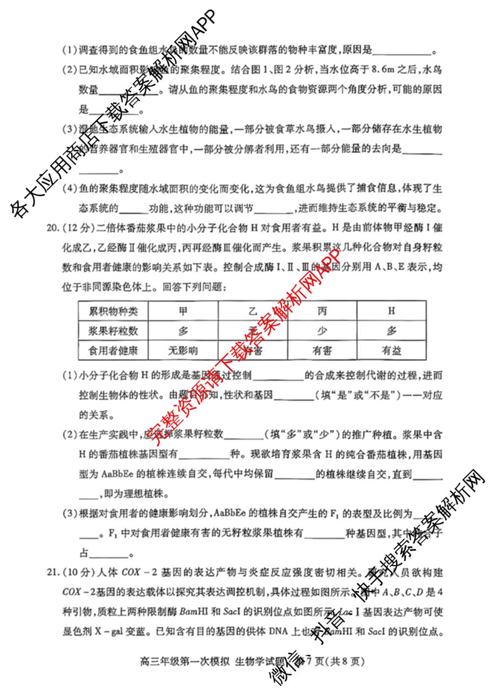 甘肃省2026年高三年级第一次模拟考试试题（含化学 历史 生物等）生物试题