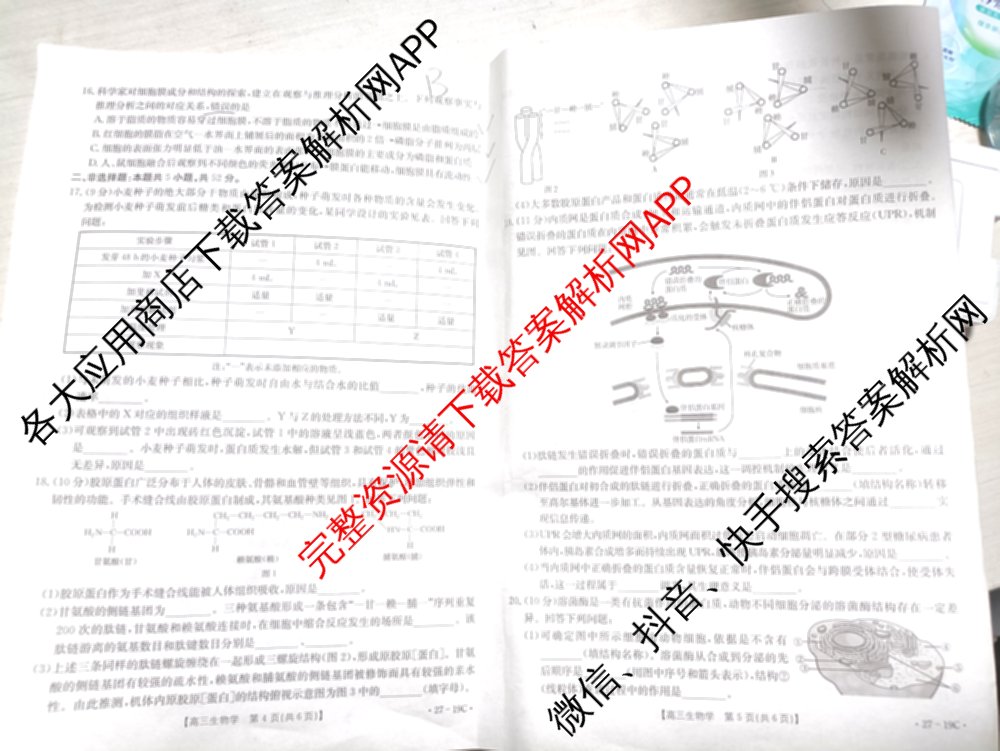 陕西省2027届高三考试(27-19C)试卷及答案汇总（含物理、历史(B2)、政治等10份）生物试题