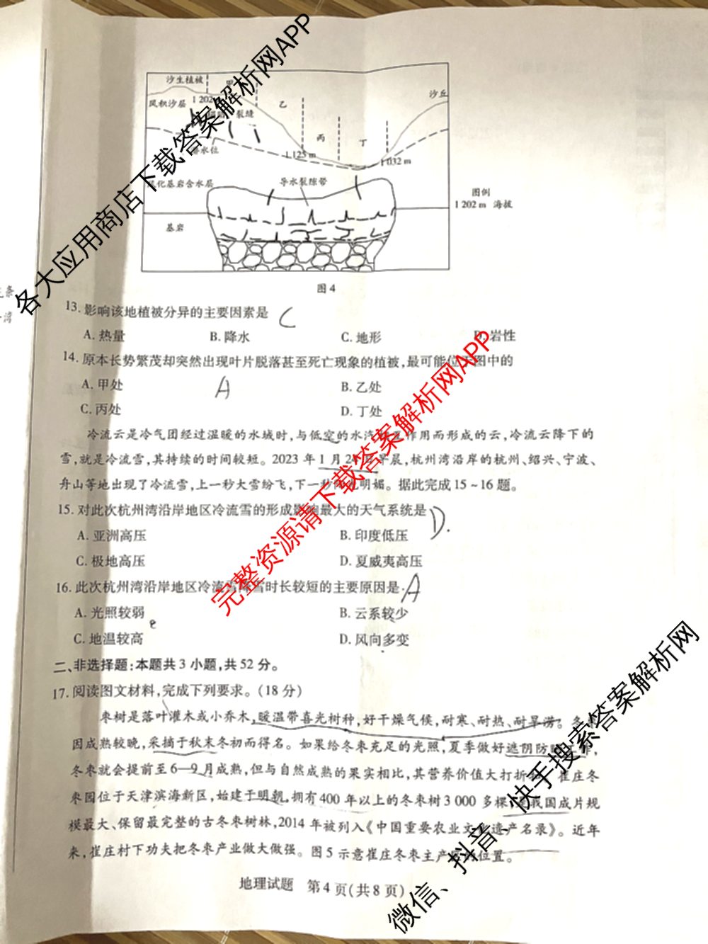 天一大联考2024-2025学年高中毕业班阶段性测试(一)试卷及答案汇总（含历史、物理、生物等）地理试题