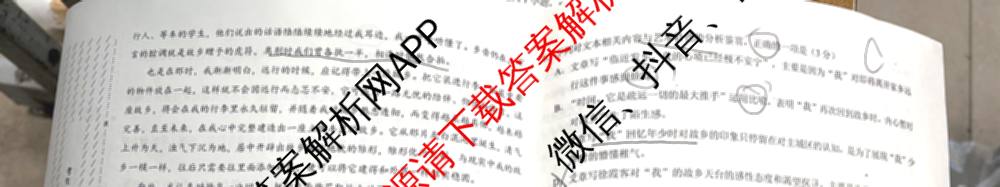 学科网2025届高三4月大联考试卷及答案汇总（含物理(新高考卷C) 文综(新课标卷) 英语(新课标卷A)等）语文试题