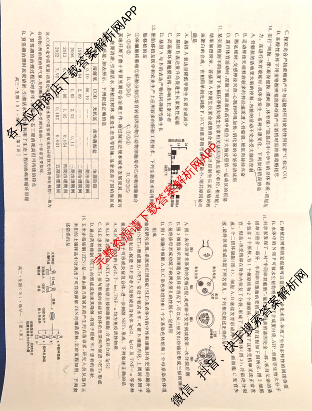 海淀八模2026届高三练(一)（含历史(S)、政治(S)、物理等）生物试题
