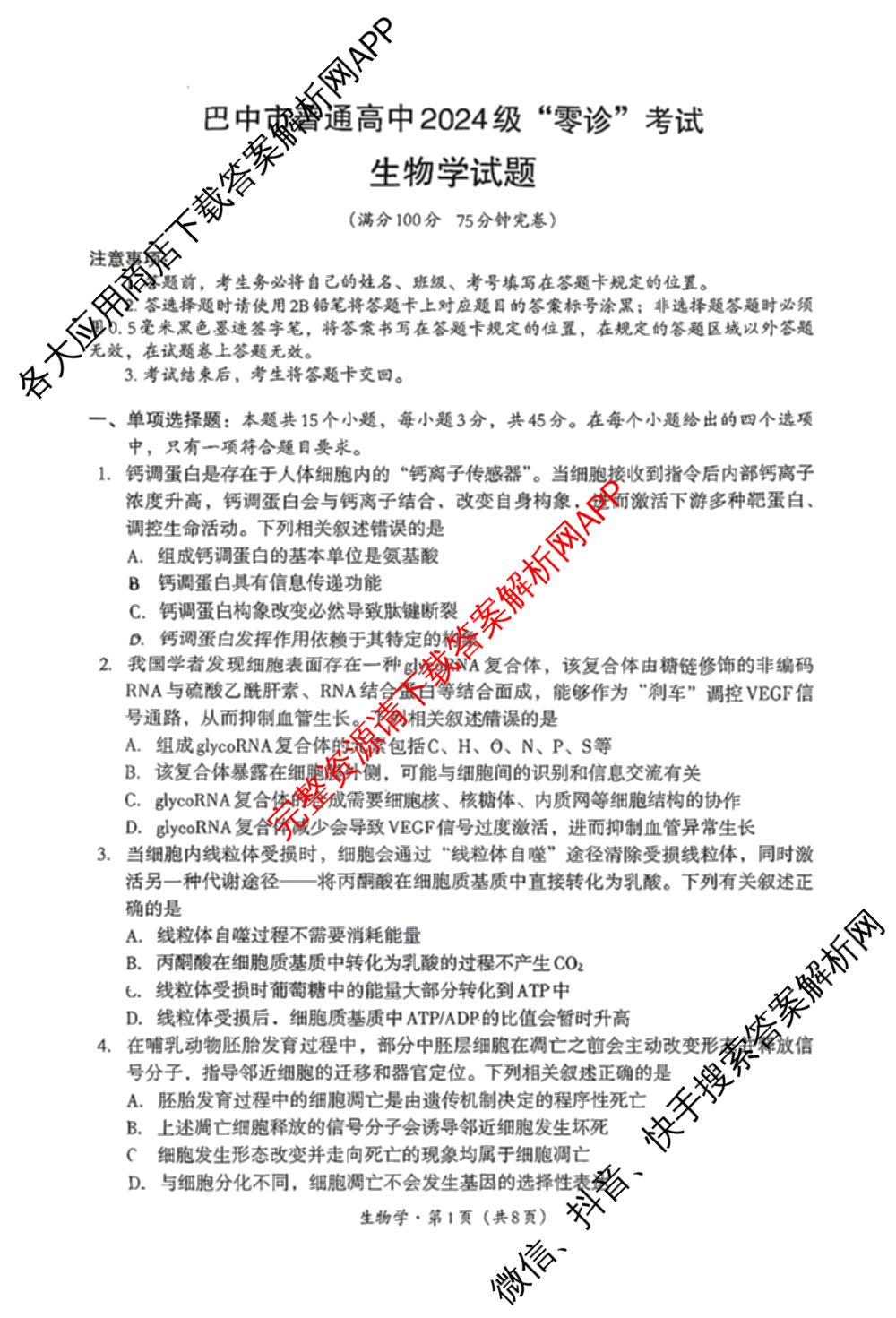 四川省巴中市普通高中2024级