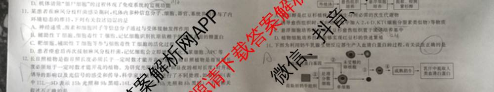 2025届高三部分重点中学3月联合测评(T8联考)(第二次八省联考)(已更新化学(HBZB)、历史(SXZB)、语文等25份)生物试题