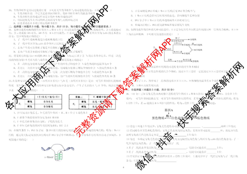 哈师大附中2024~2025学年度下学期高一期末考试试卷及答案汇总（含化学 物理 英语等9份）生物试题