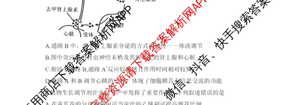 湖南省2026届高三学情调研(二)各科答案及试卷（含化学 地理 生物等）生物试题