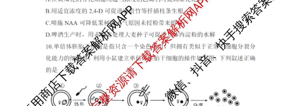 湖南省2026届高三学情调研(二)各科答案及试卷（含化学 地理 生物等）生物试题